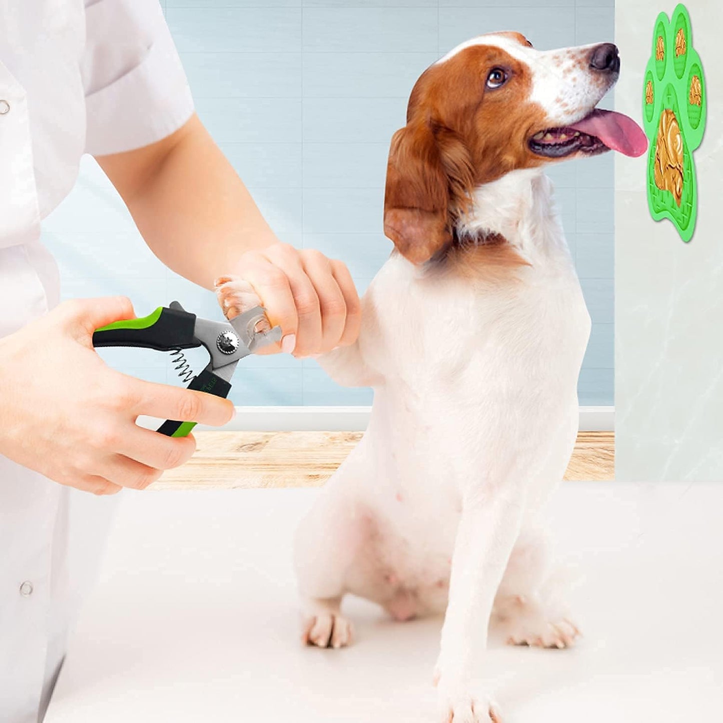 Dog Nail Clippers - Dog and Cat Pet Nail Trimmers with Nail File | Grooming Tool for Pets with Lick Mat - Professional Nail Clippers for Small Medium Large Breeds, Green